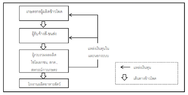 รูปแบบห่วงโซ่อุปทานข้าวโพด จ.น่าน