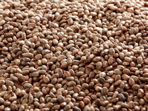 BeansInterface20295a