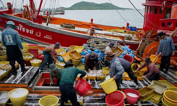 ปัญหาการค้ามนุษย์ในอุตสาหกรรมประมงของไทย ที่มา: http://www.theguardian.com/global-development/2015/feb/18/thailand-failing-tackle-fishing-industry-slavery
